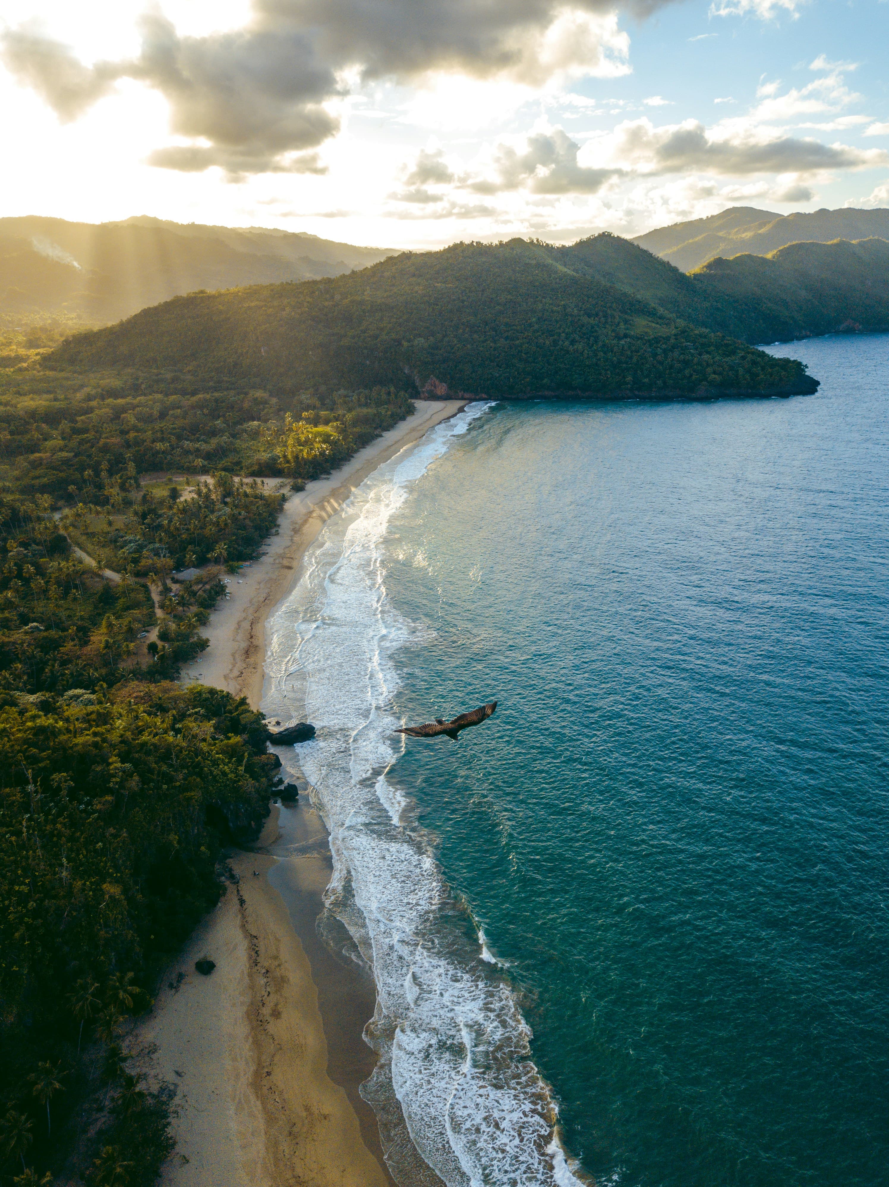Aerial view of a green Dominican coastline at sunset, a bird in flight